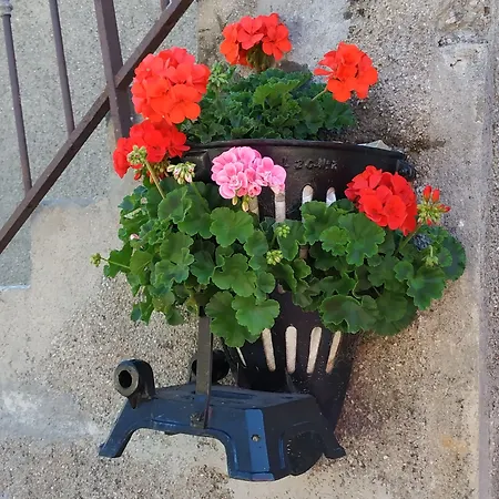 Hotel D'hotes Des Bassins *